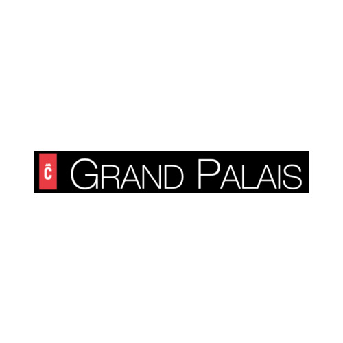 Grand Palais, public